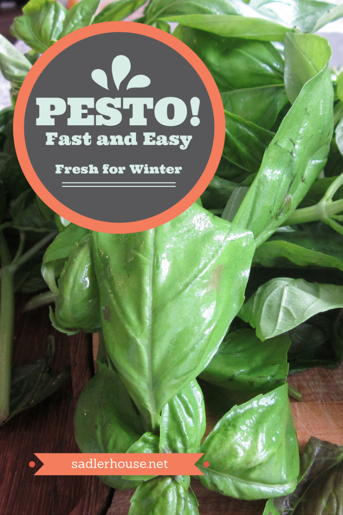 Presto Pesto Recipe - Sadler House