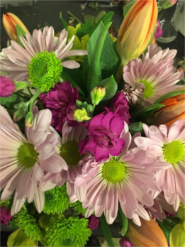 Rockland Maine Florist